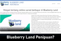 review blueberry land survey