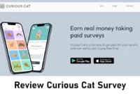 review curious cat survey