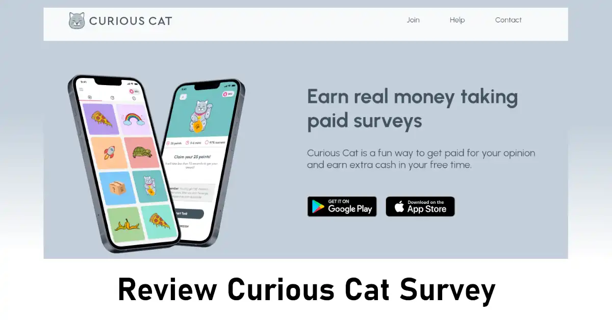 review curious cat survey